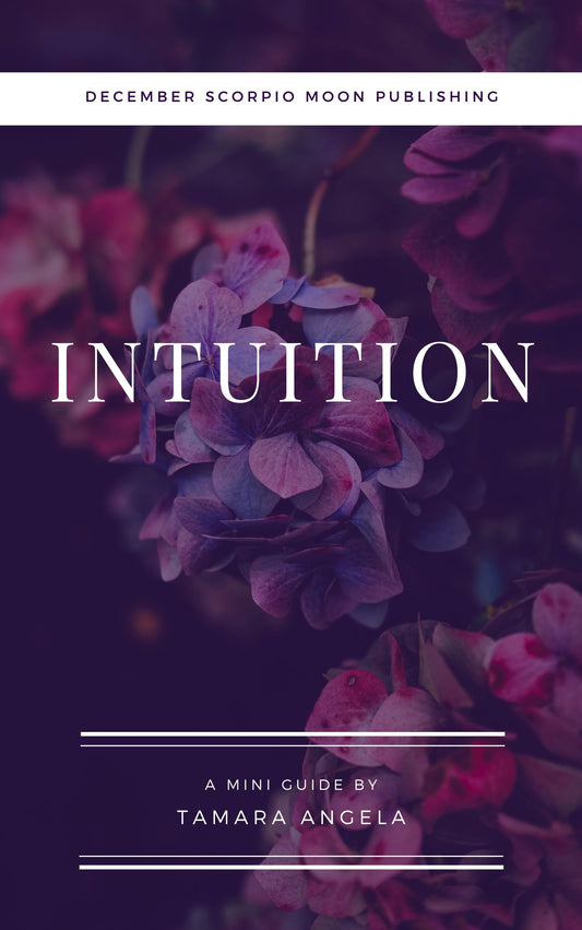 Intuition: A Mini Guide